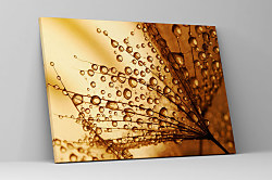 Obraz Za rána za rosy 1454